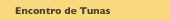 Encontro de Tunas